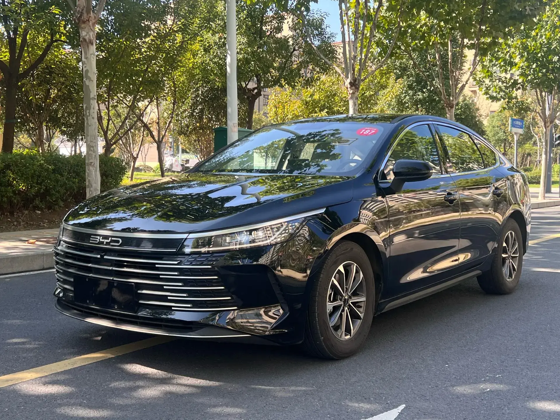 2024 BYD DESTROYER view 1