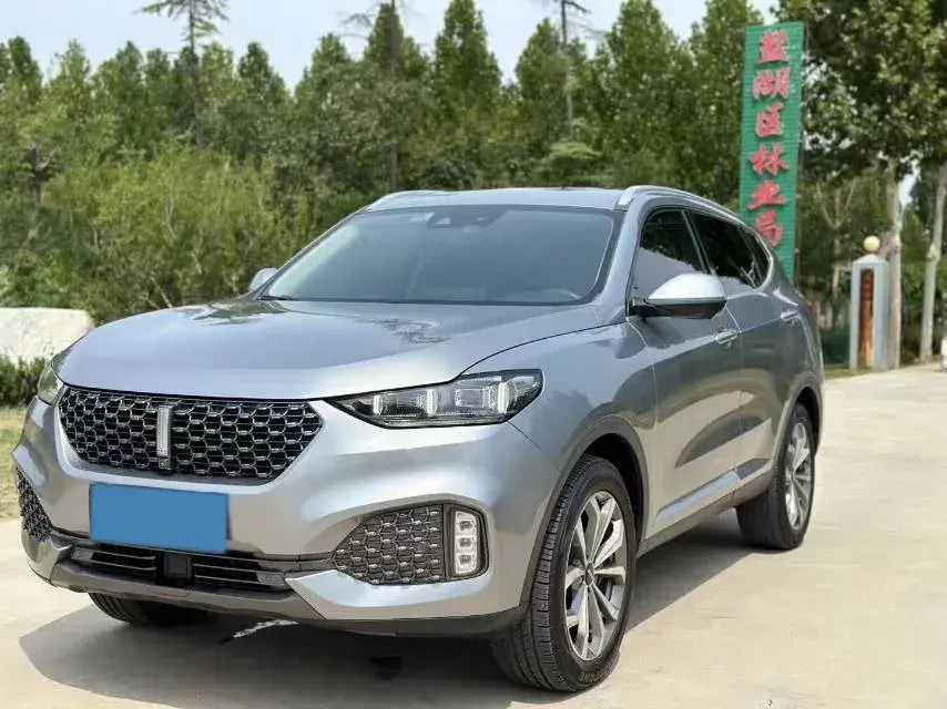 2020 WEY VV6 view 1