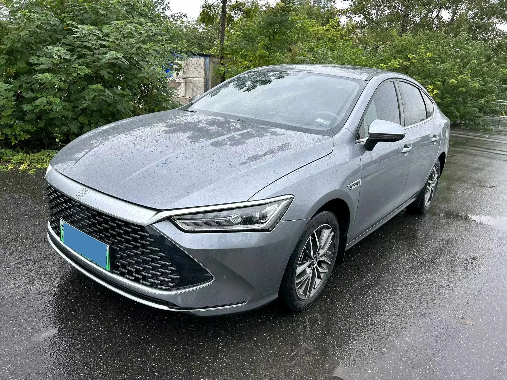 2022 BYD DESTROYER view 1