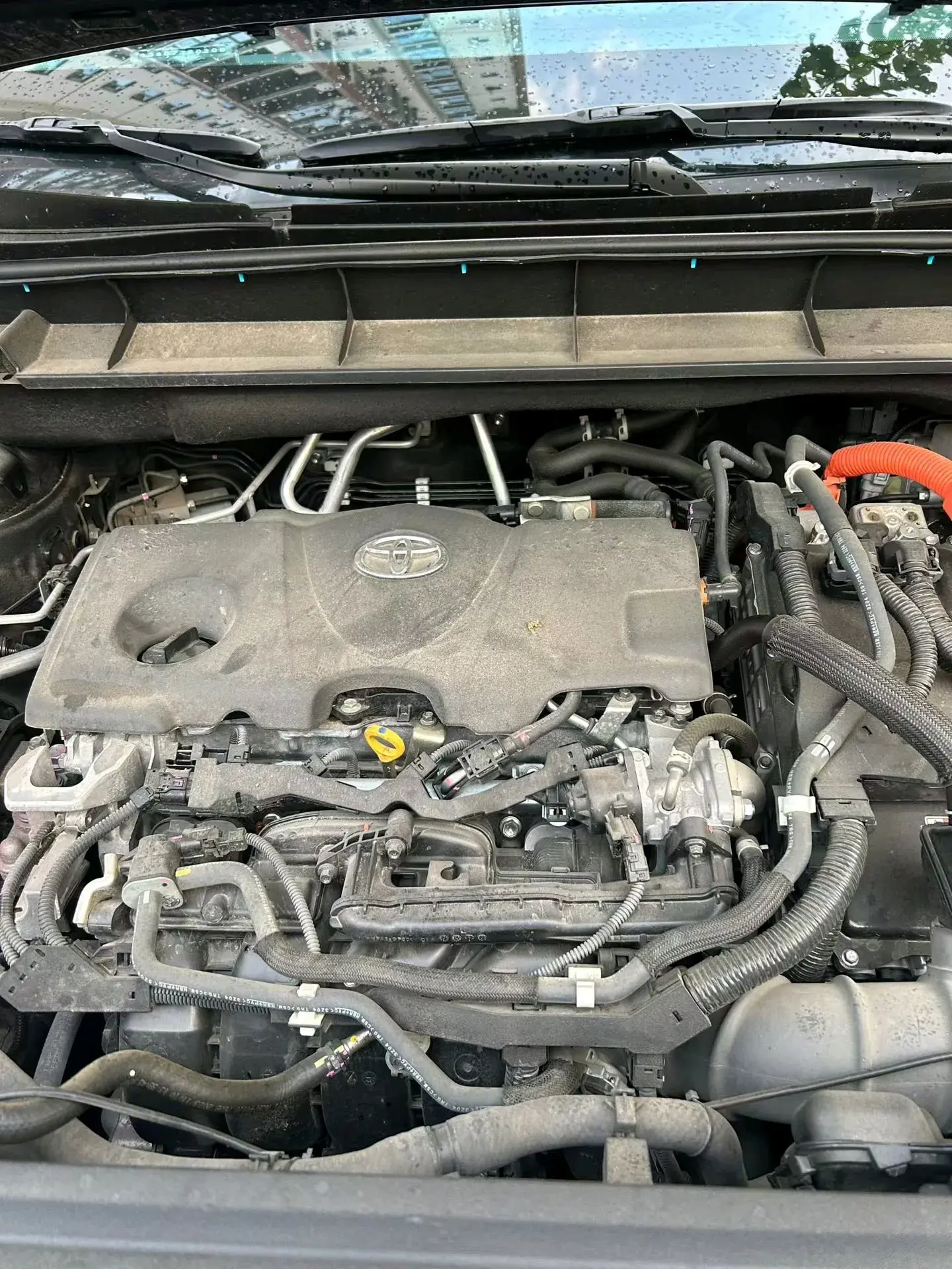 2023 TOYOTA HIGHLANDER thumbnail 4