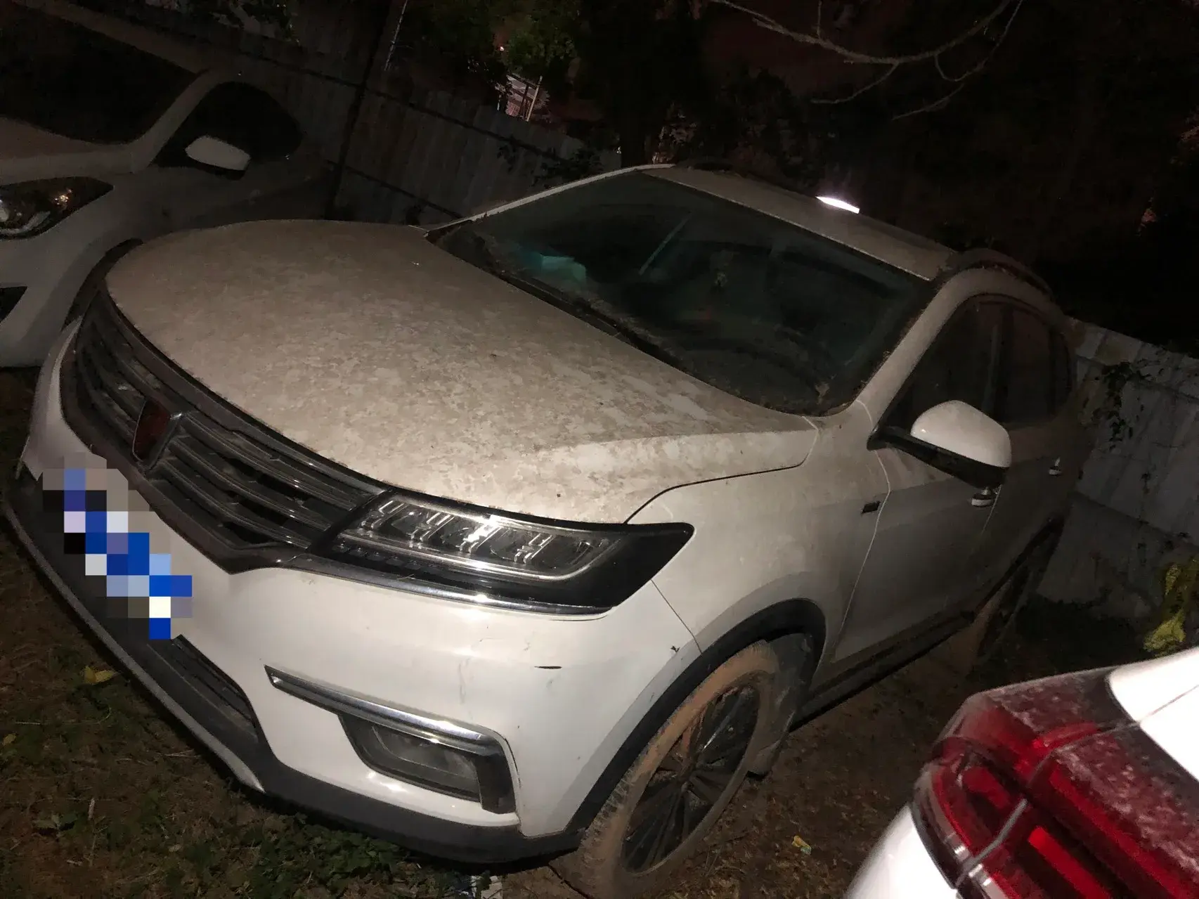 2019 ROEWE RX5 view 1