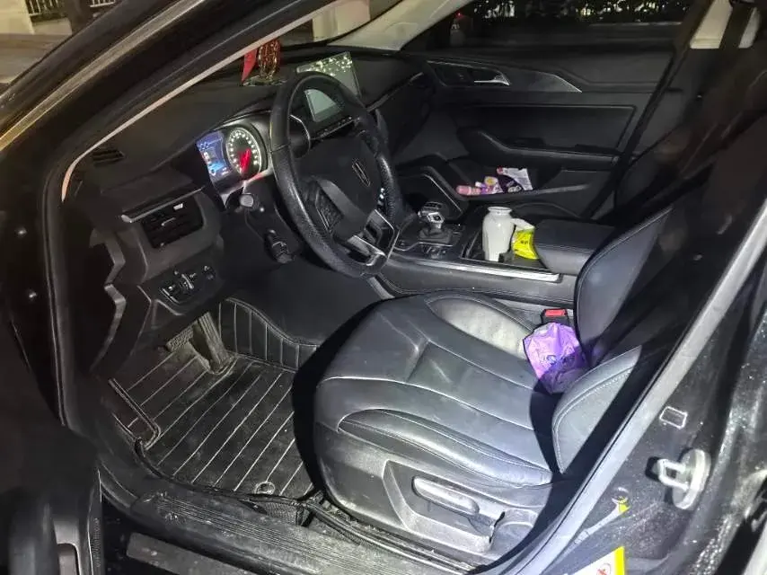 2022 HONGQI H5 thumbnail 2