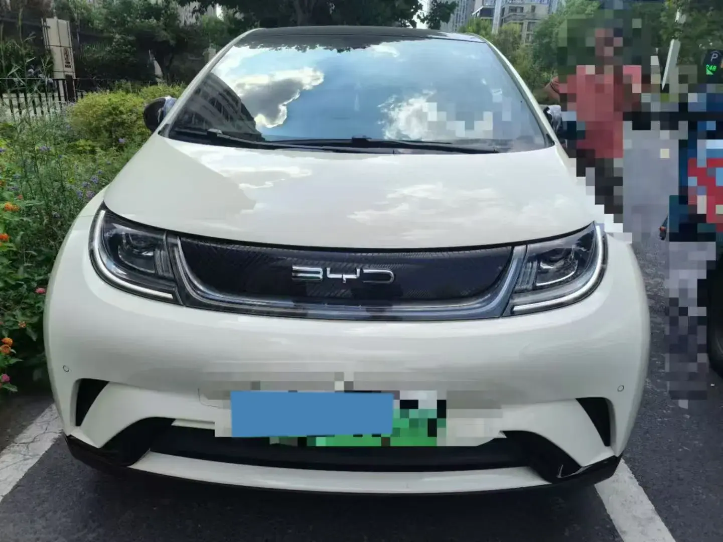 2023 BYD DOLPHIN thumbnail 2