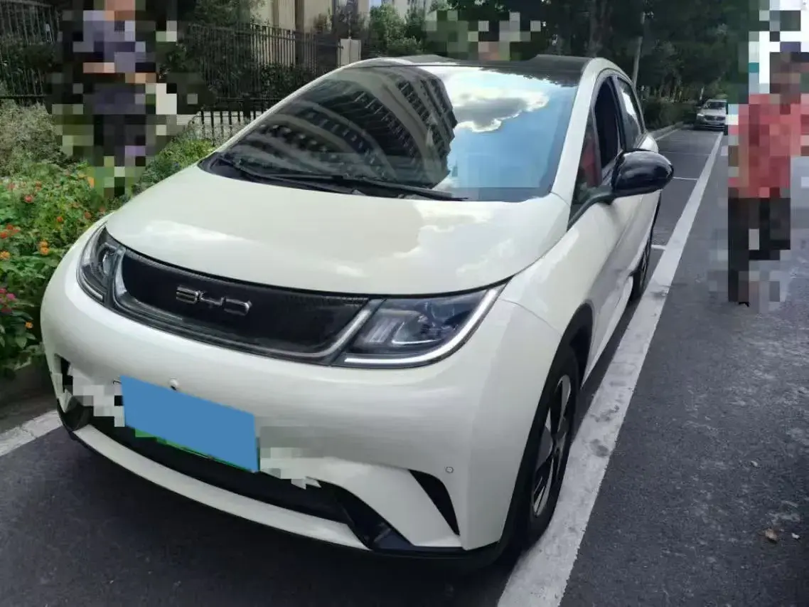 2023 BYD DOLPHIN view 1