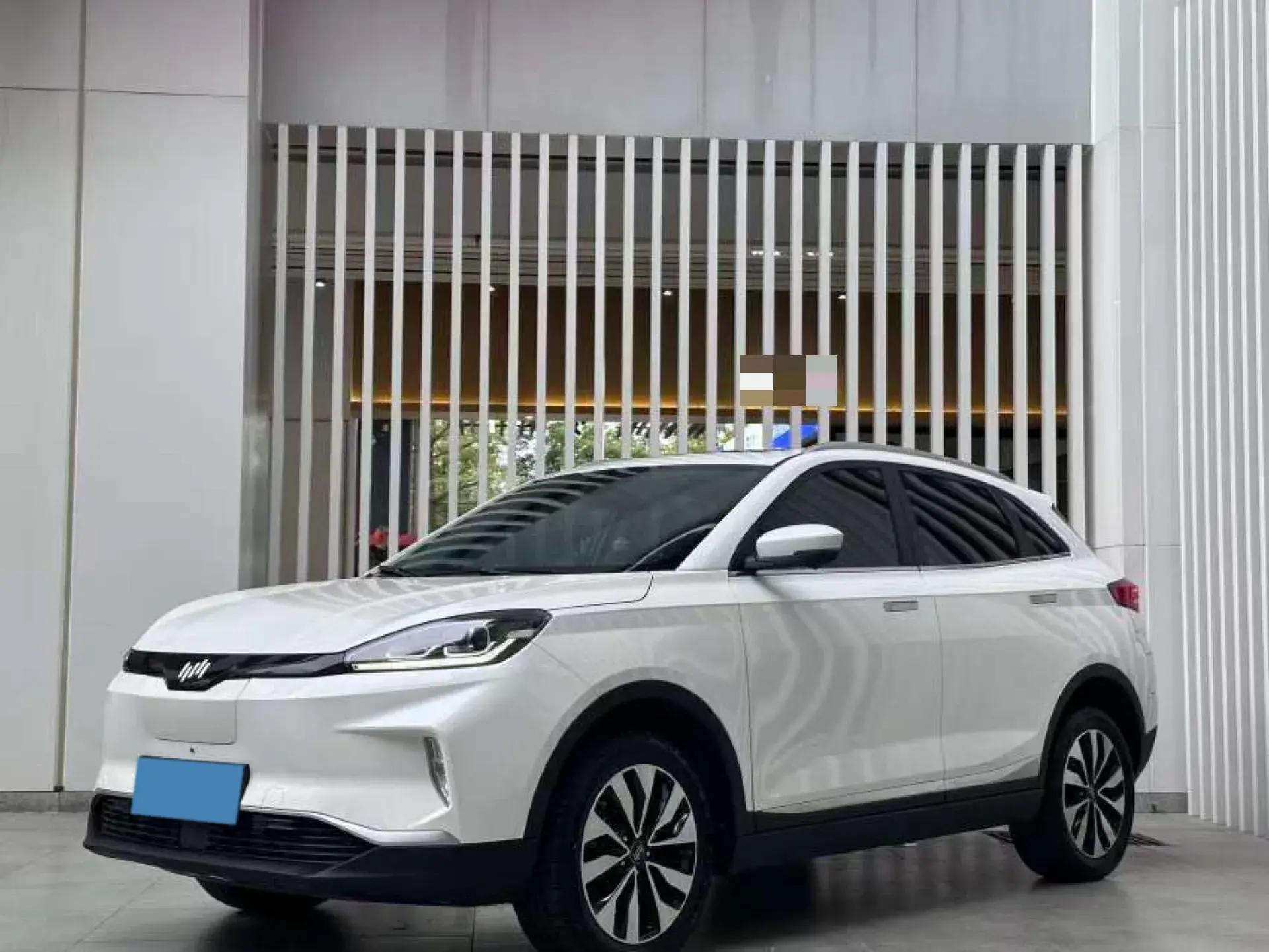 2019 WELTMEISTER EX5 view 1