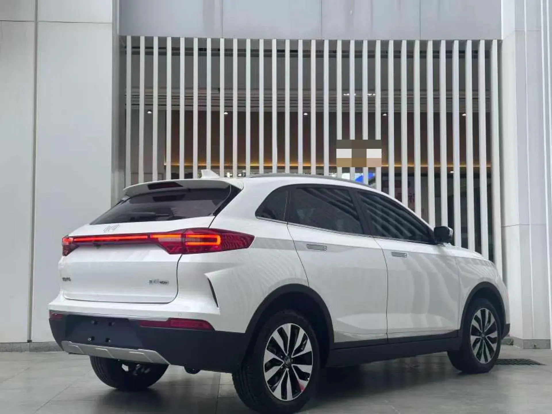 2019 WELTMEISTER EX5 thumbnail 4