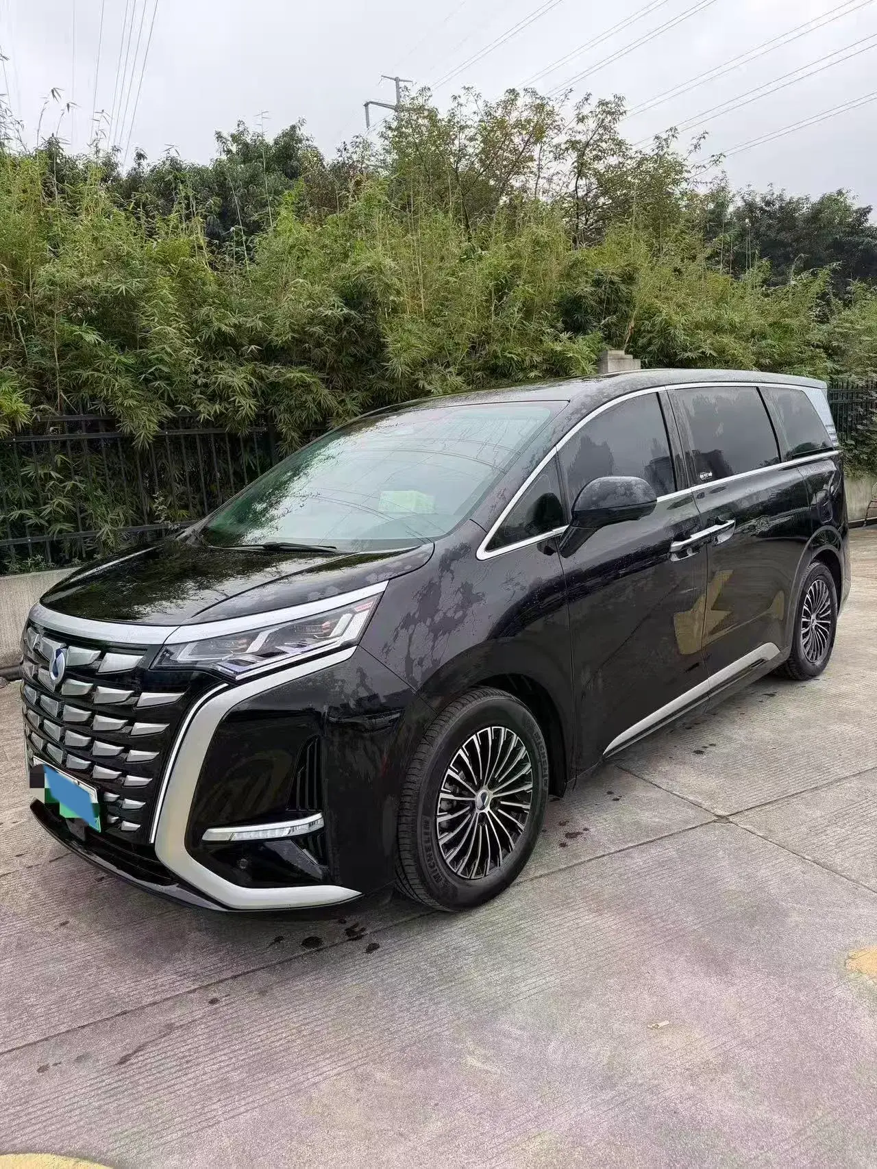 2022 DENZA D9 view 1