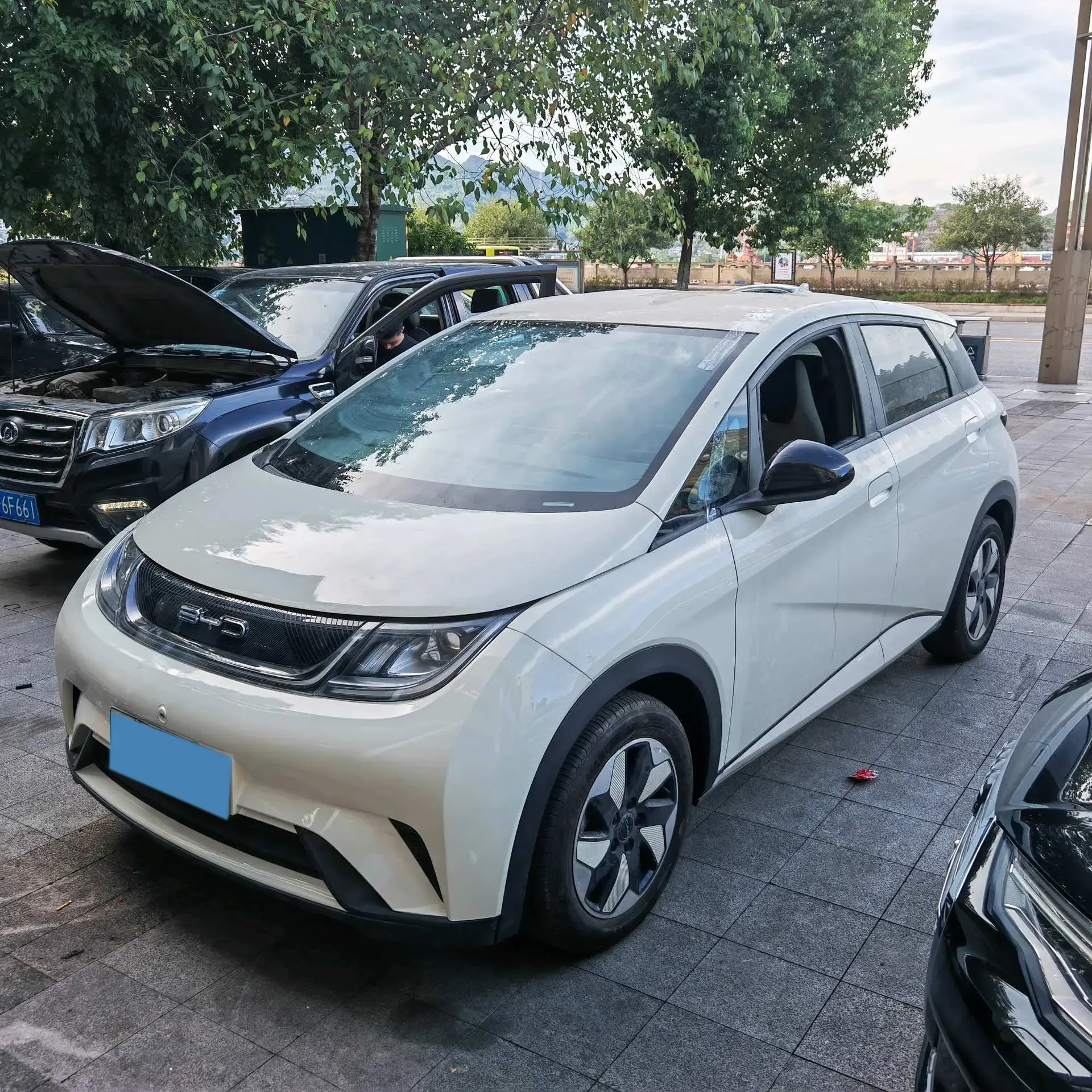 2024 BYD DOLPHIN view 1