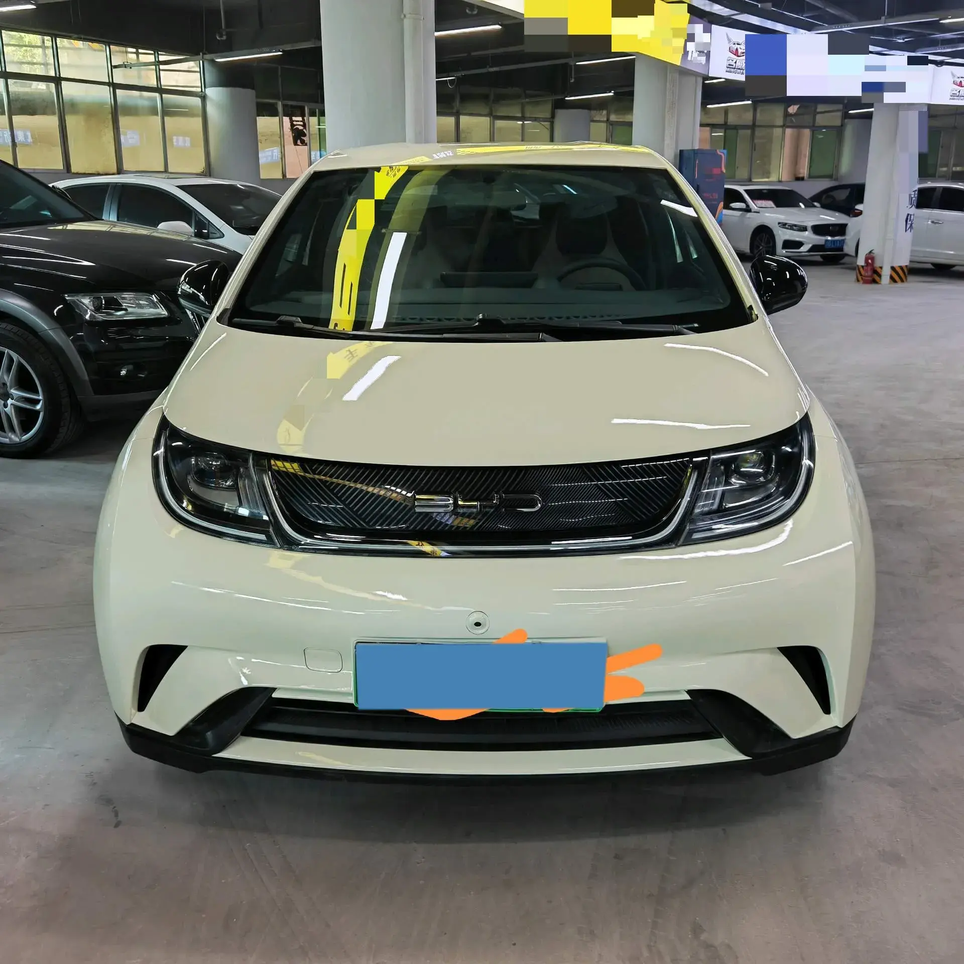 2024 BYD DOLPHIN thumbnail 3