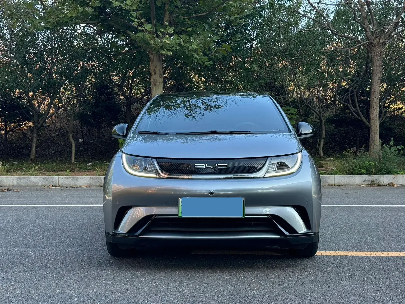 2023 BYD DOLPHIN thumbnail 2