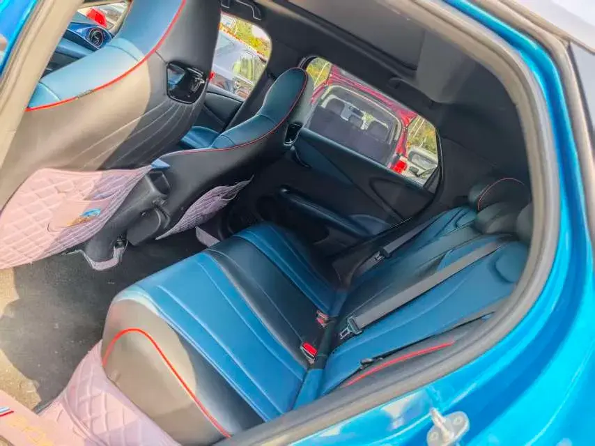 2021 BYD DOLPHIN thumbnail 3