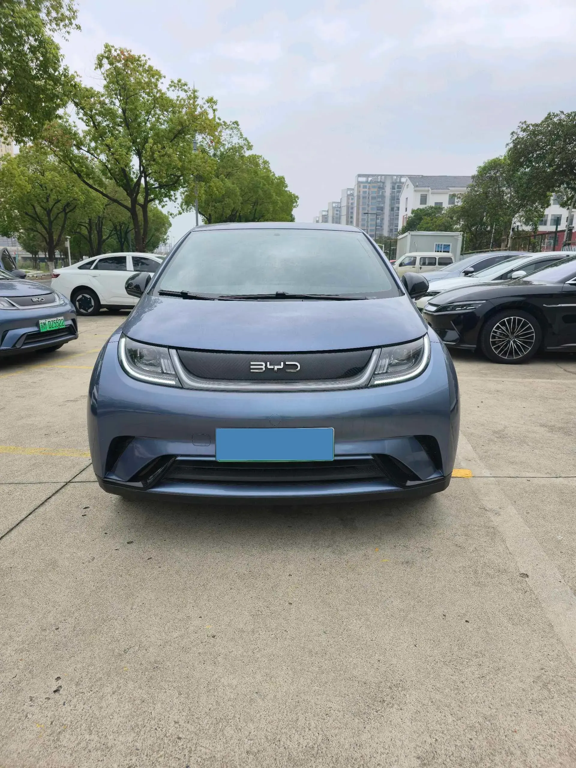 2024 BYD DOLPHIN thumbnail 2