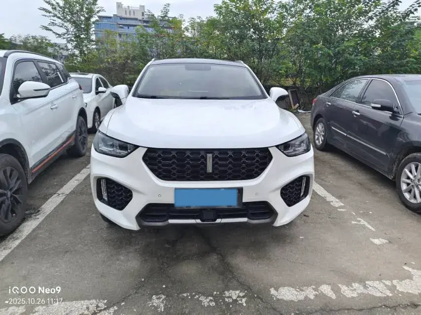 2019 WEY VV5 thumbnail 3