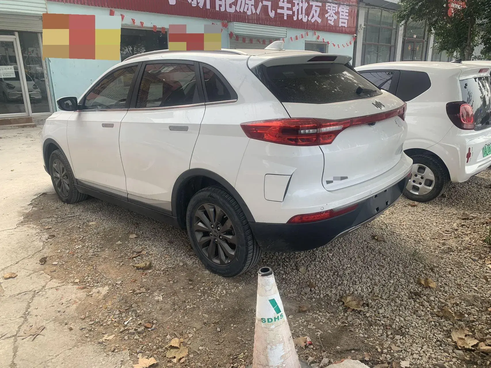 2019 WELTMEISTER EX5 thumbnail 4