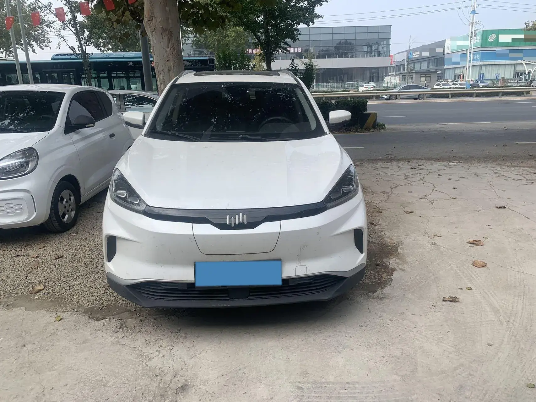 2019 WELTMEISTER EX5 thumbnail 2