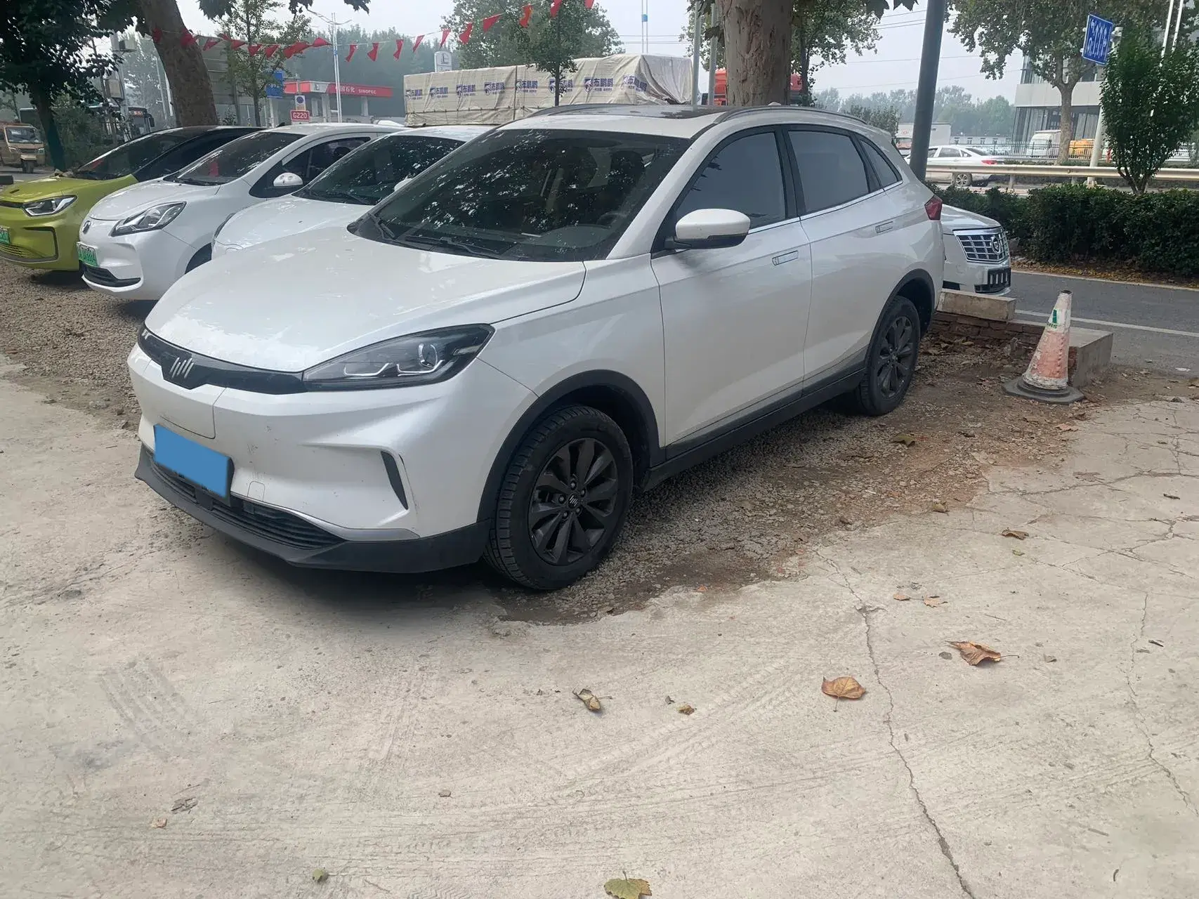 2019 WELTMEISTER EX5 view 1