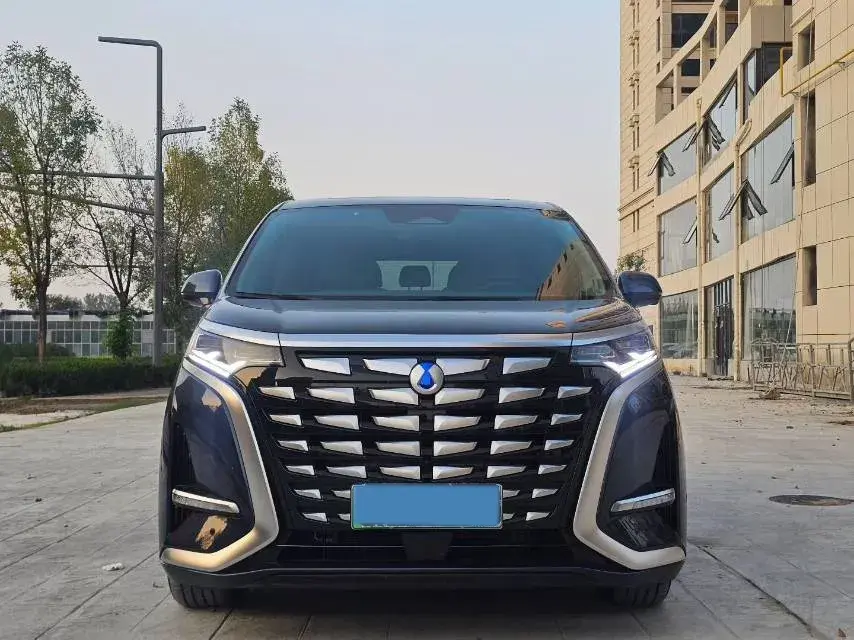 2022 DENZA D9 thumbnail 2