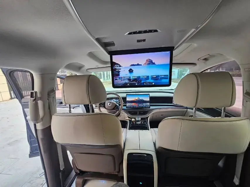 2022 DENZA D9 thumbnail 4