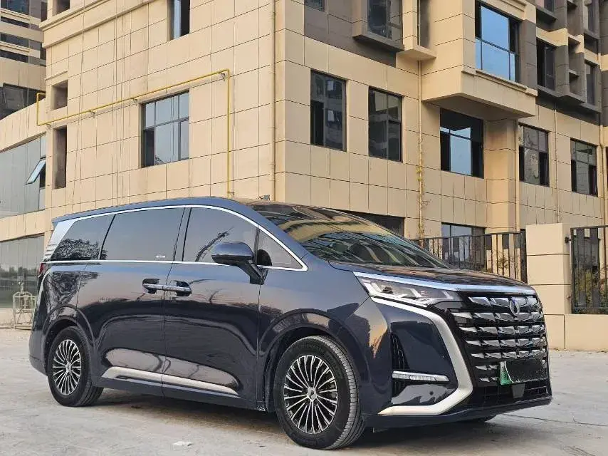 2022 DENZA D9 thumbnail 3