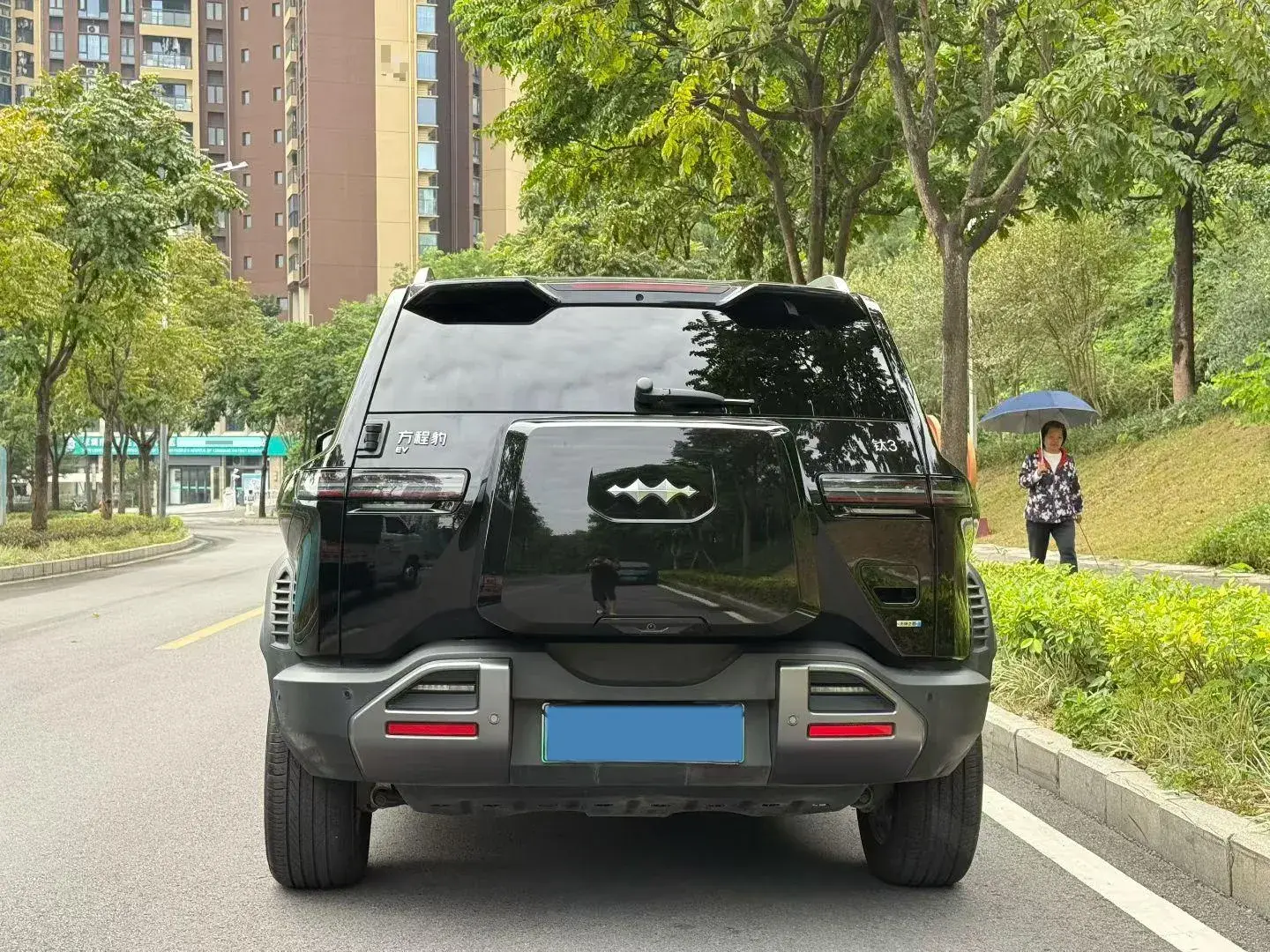 2025 FANGCHENGBAO TAI thumbnail 4