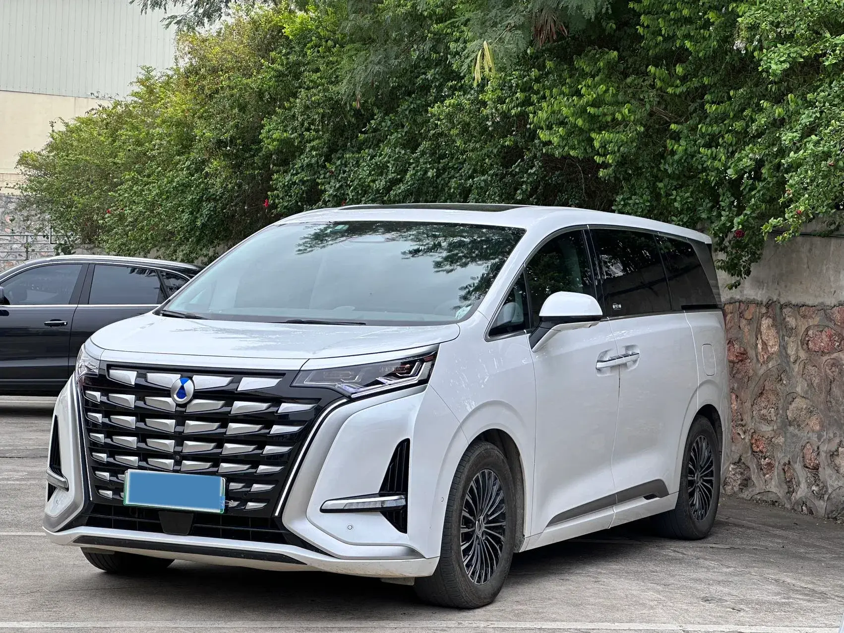 2022 DENZA D9 view 1