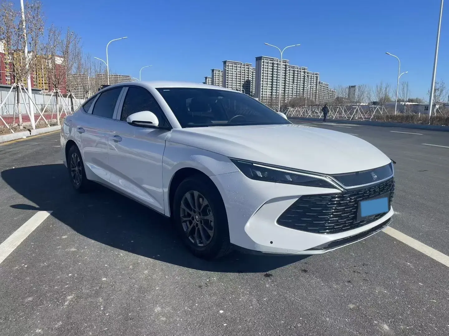 2024 BYD QINL thumbnail 2