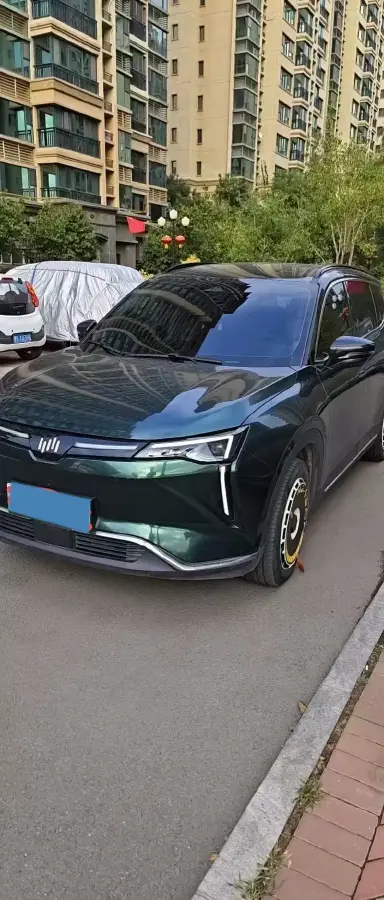 2021 Weltmeister W6 BEV 66.231KWH