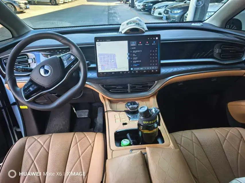 2024 DENZA D9 thumbnail 4