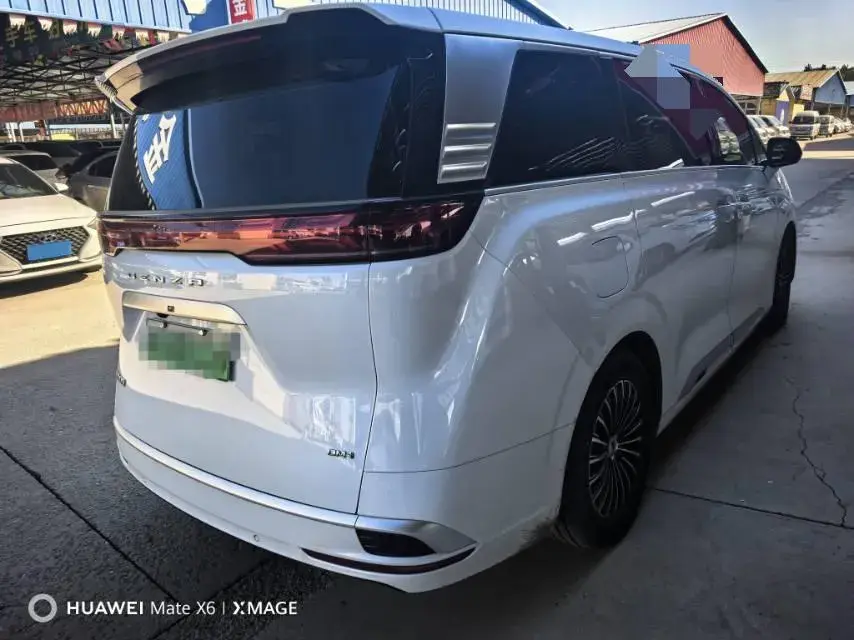 2024 DENZA D9 thumbnail 3