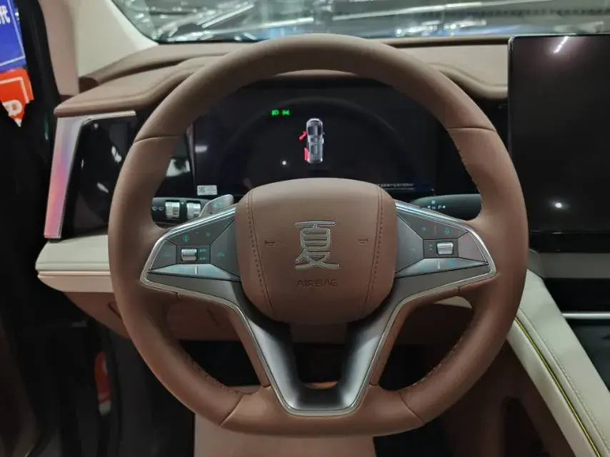 2025 BYD XIA thumbnail 4