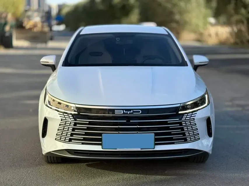 2024 BYD DESTROYER thumbnail 2