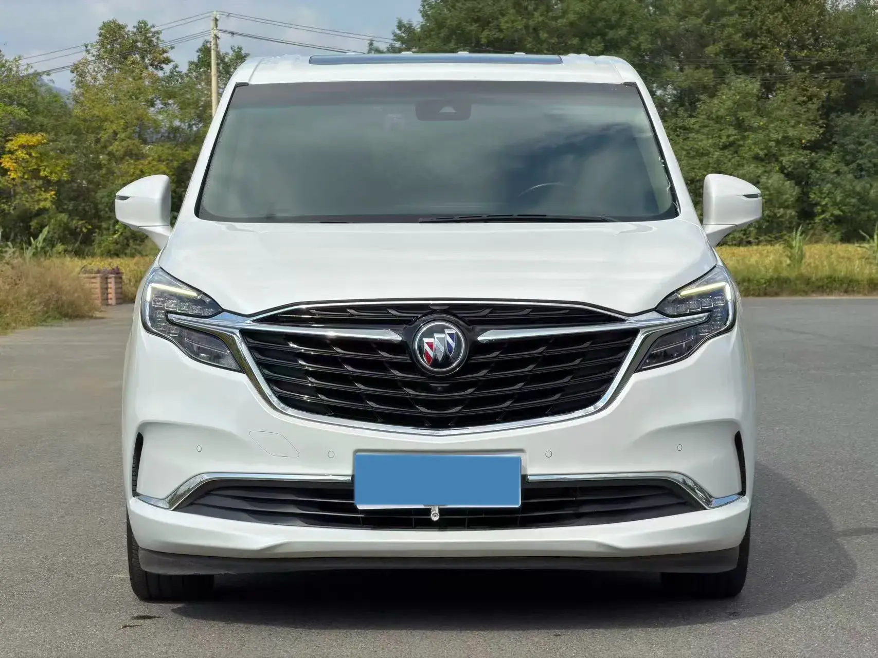 2020 BUICK GL8 thumbnail 2