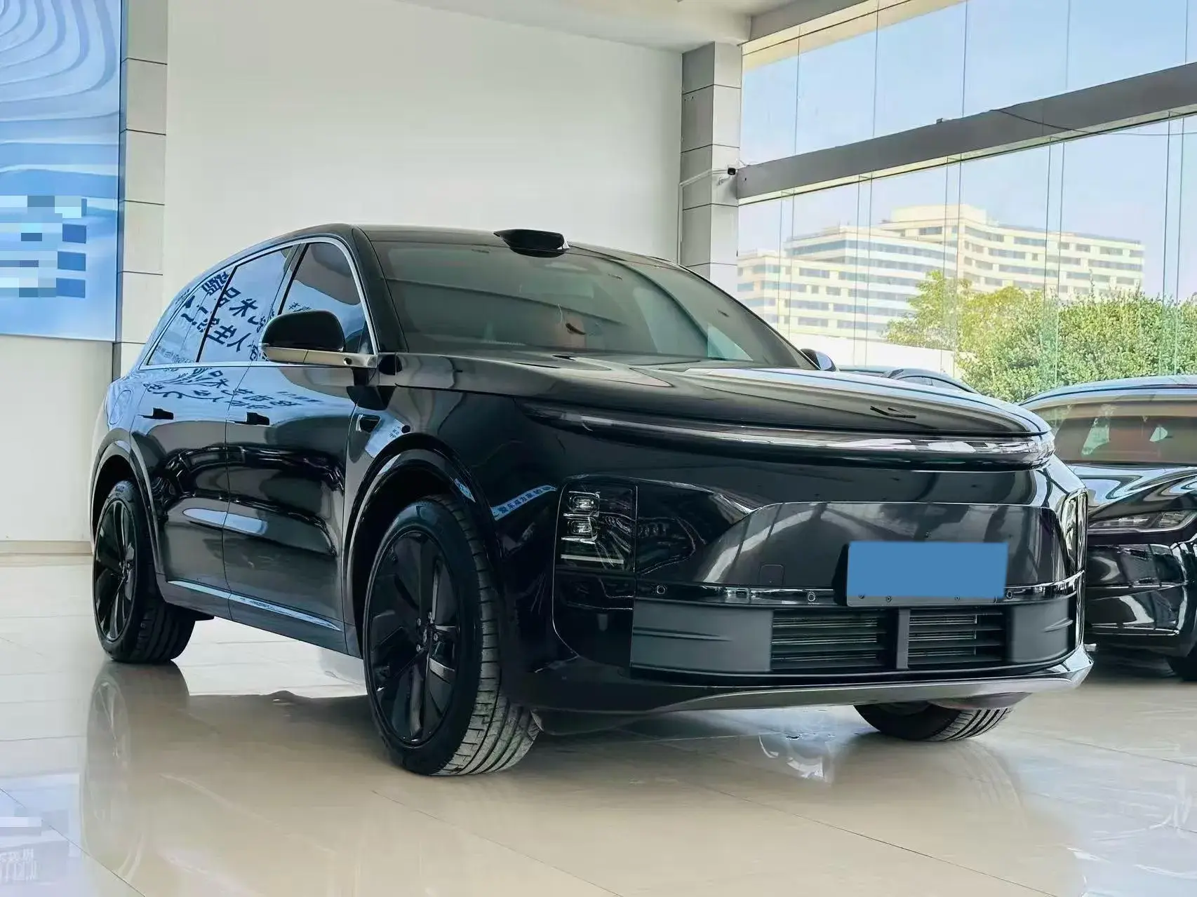 2024 LI L6 thumbnail 3