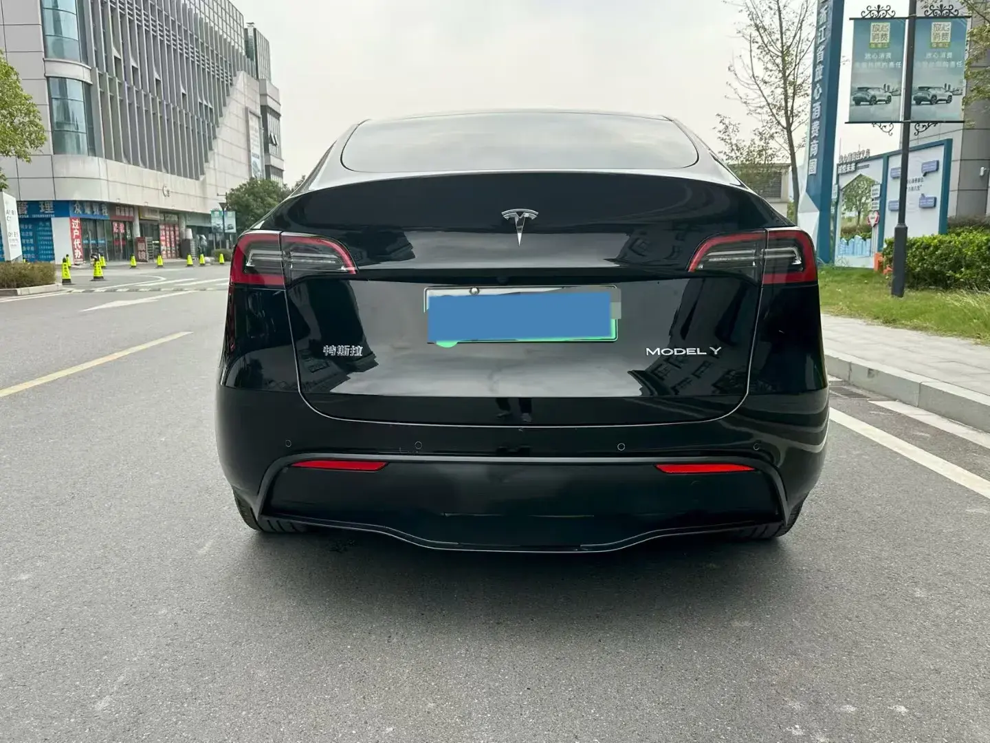 2021 TESLA MODEL thumbnail 4