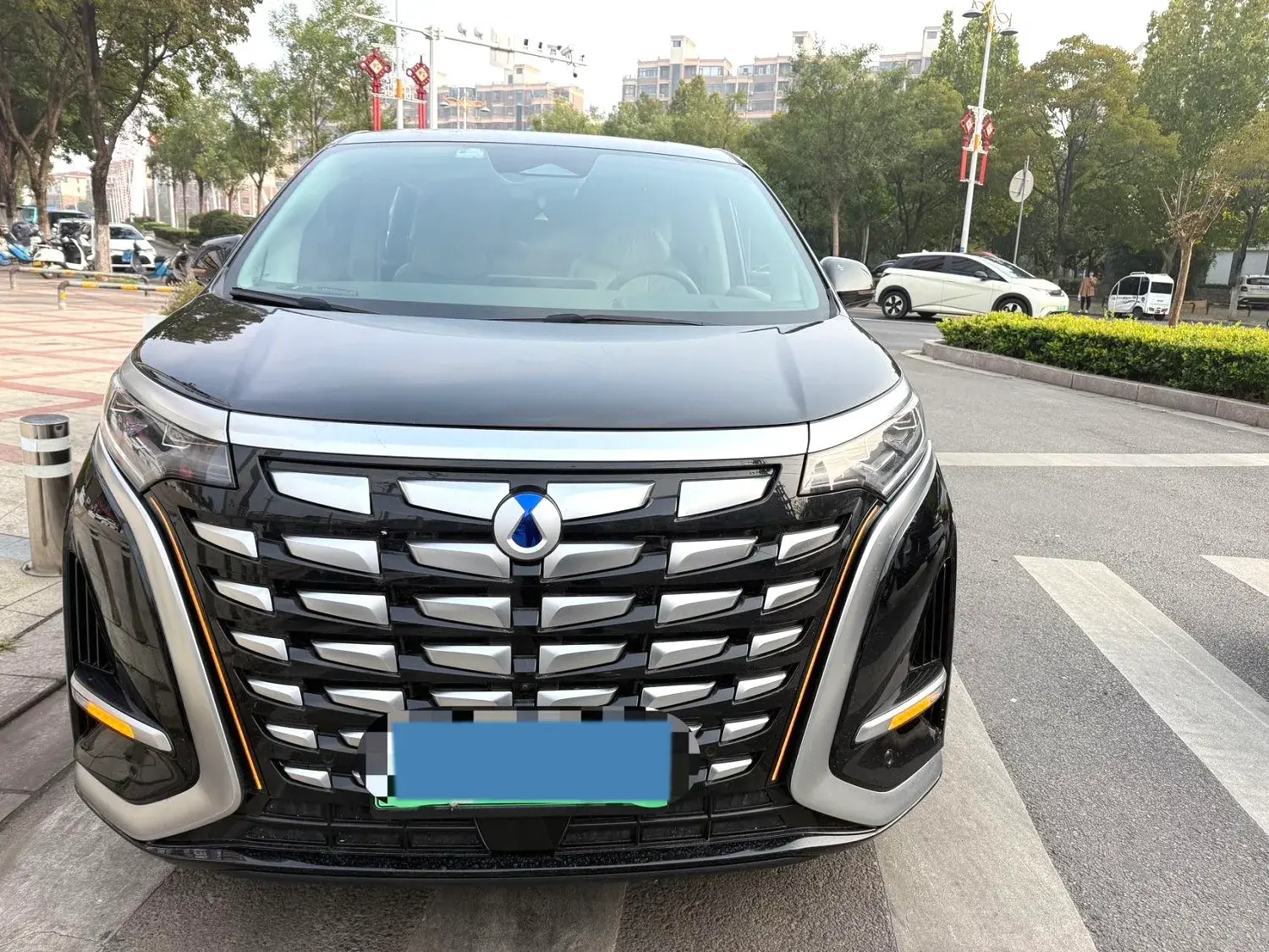 2022 DENZA D9 thumbnail 2