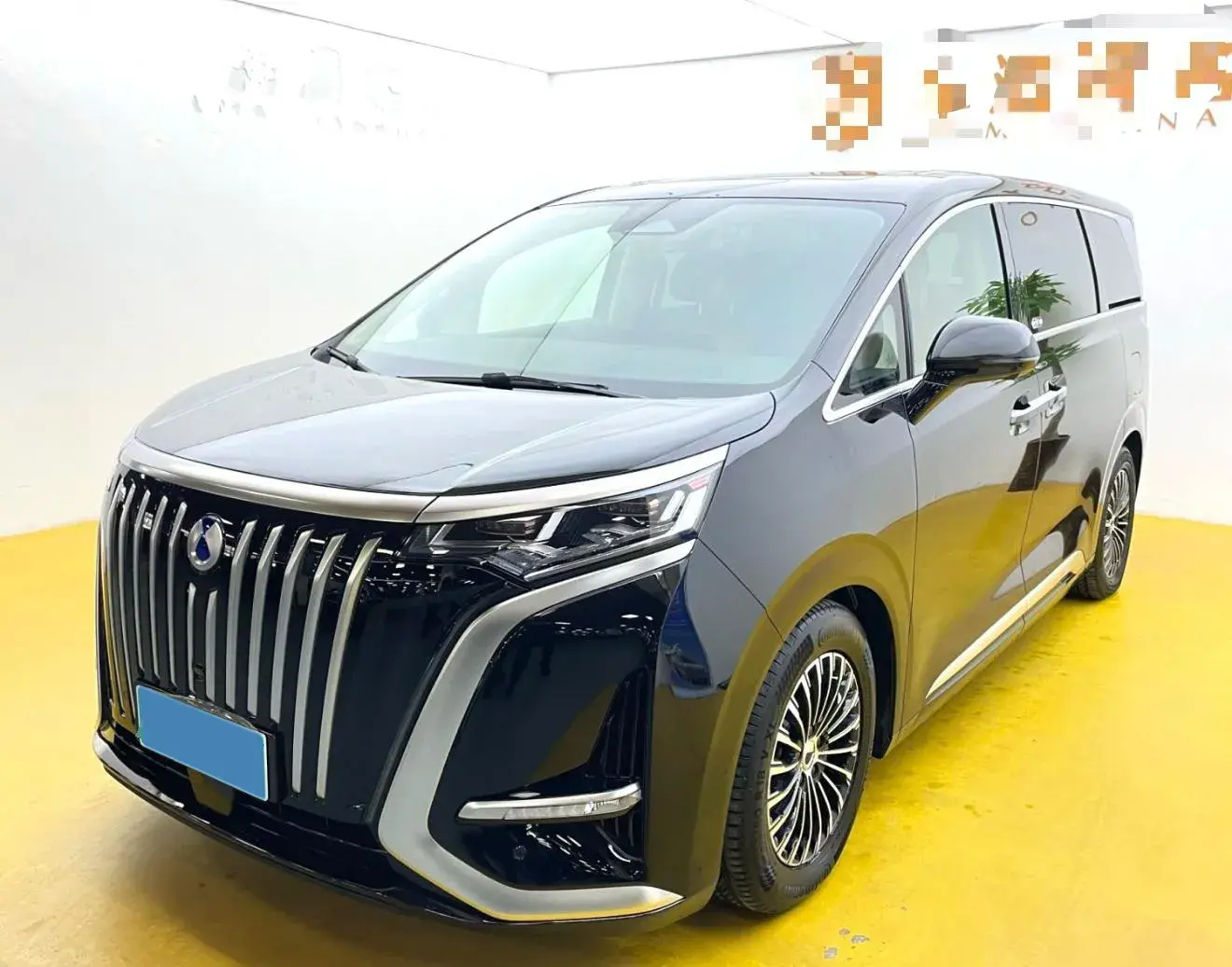 2024 DENZA D9 view 1