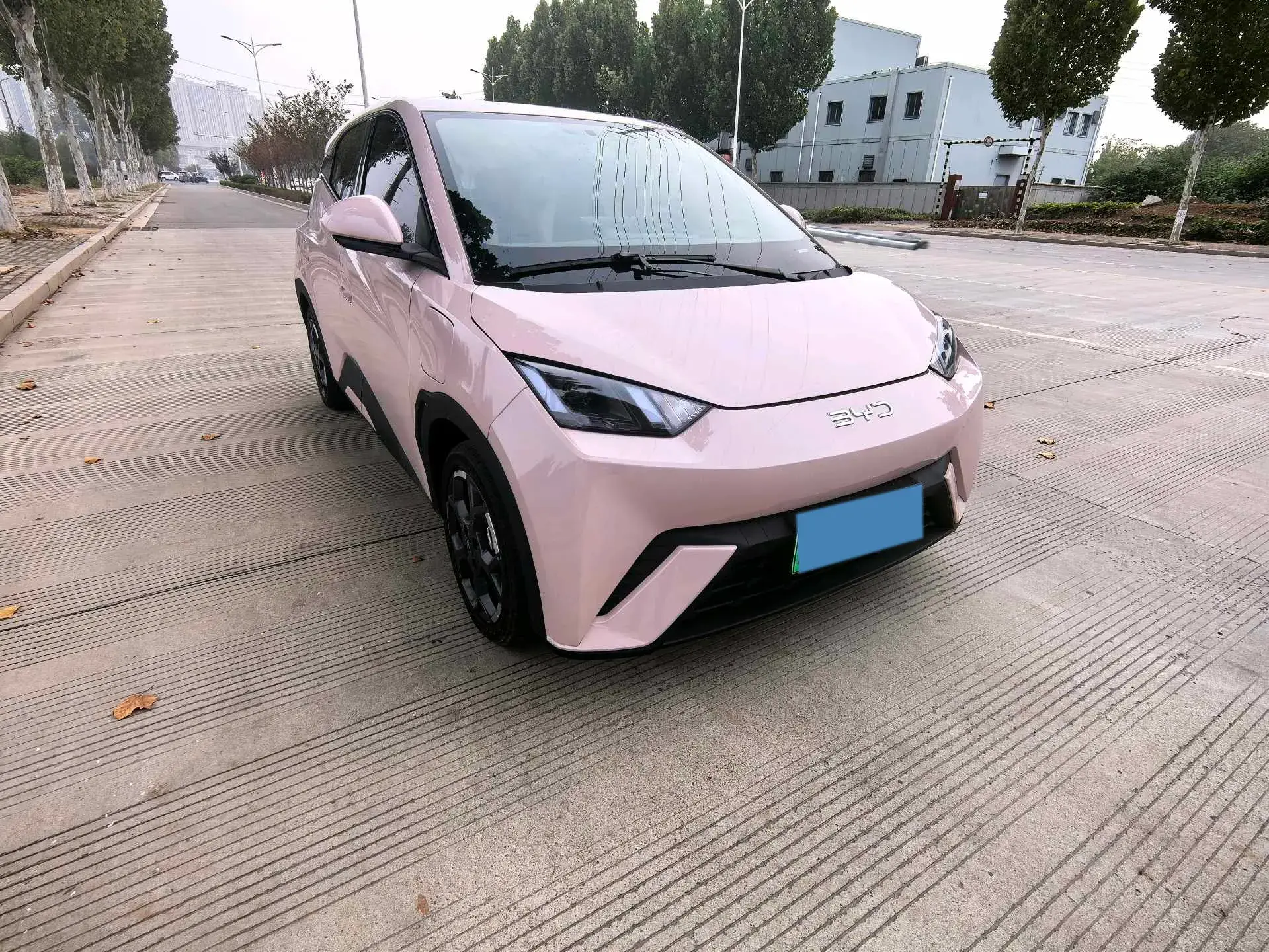 2025 BYD SEAGULL thumbnail 2