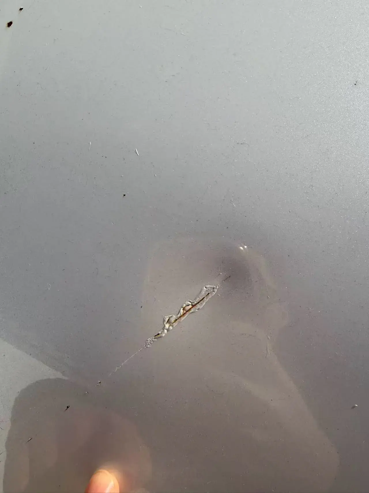 2021 GAC TRUMPCHI thumbnail 3