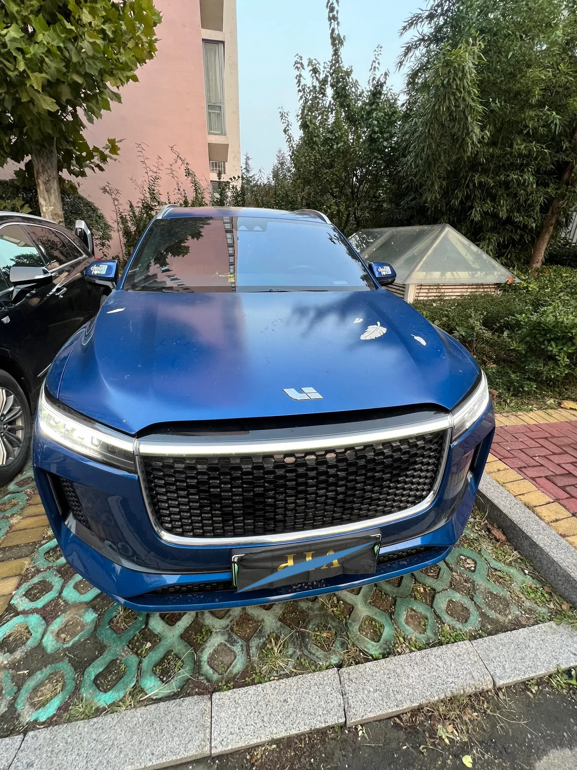 2020 LI ONE thumbnail 2