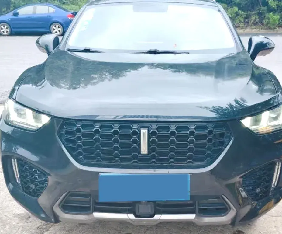 2019 WEY VV5 thumbnail 2