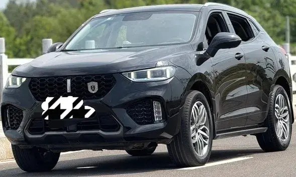 2019 WEY VV5 view 1