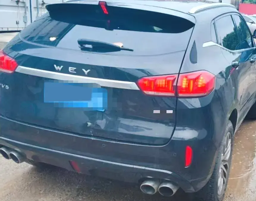 2019 WEY VV5 thumbnail 3