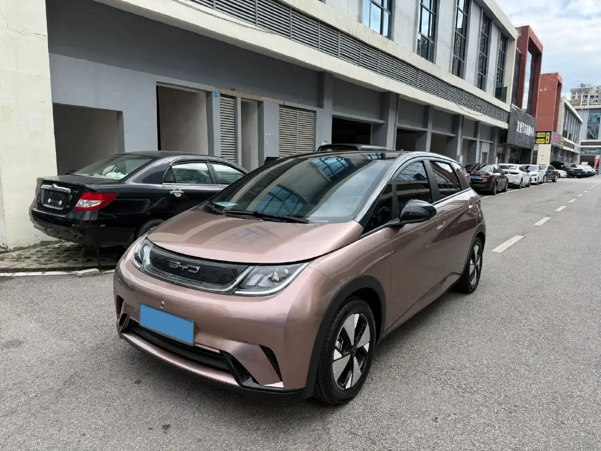 2023 BYD Dolphin BEV 44.928KWH