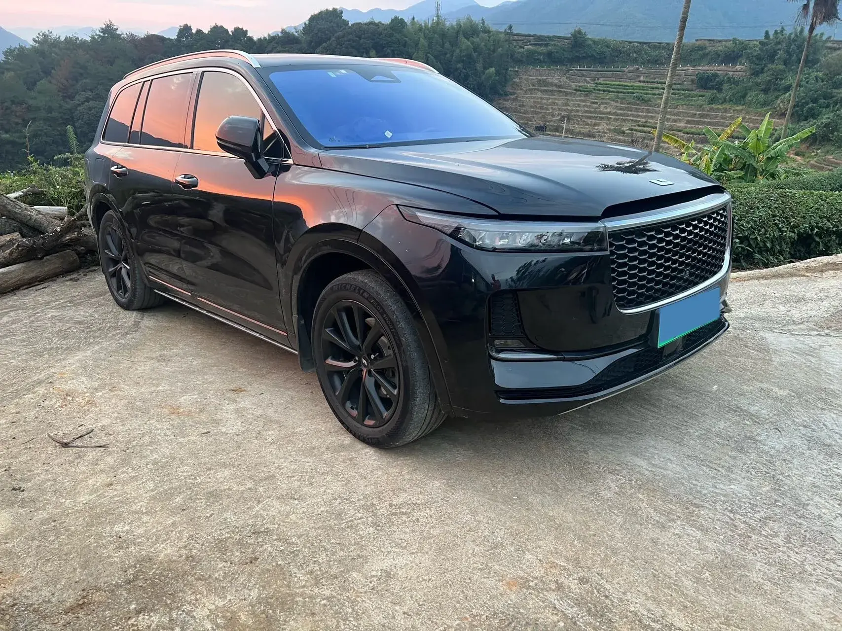 2021 LI ONE thumbnail 2