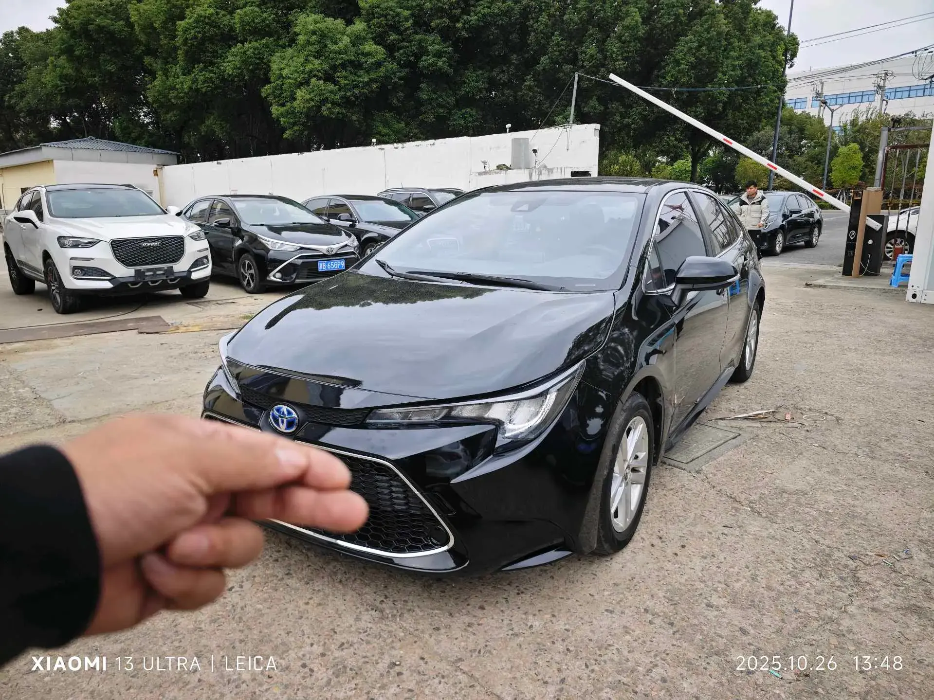 2019 TOYOTA LEVIN view 1