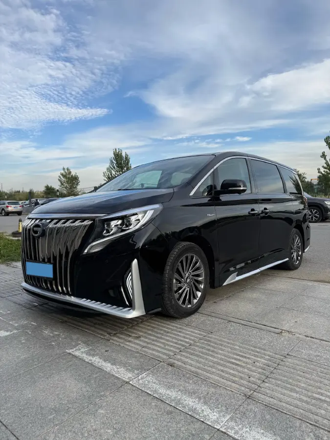 2021 GAC Trumpchi M8 2.0T 252HP L4 8AT