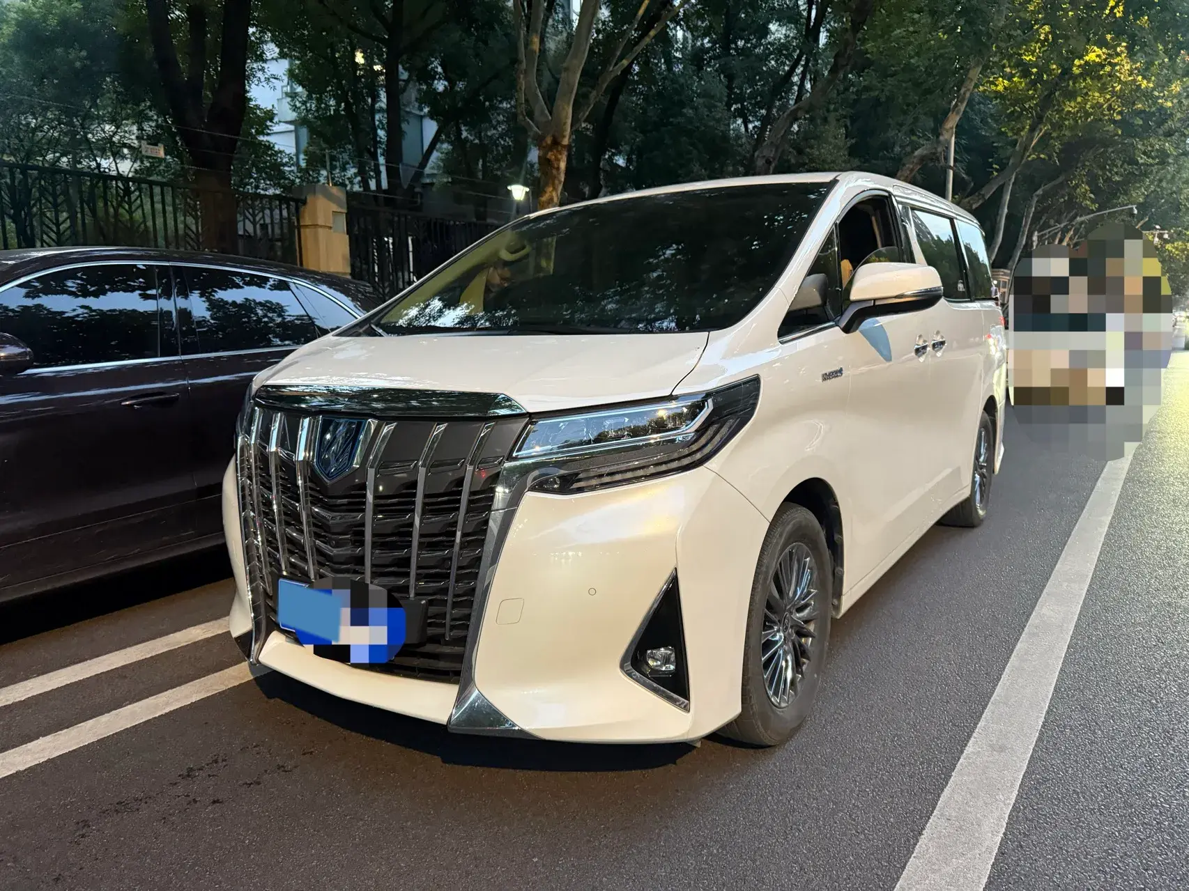 2020 TOYOTA ALPHARD view 1