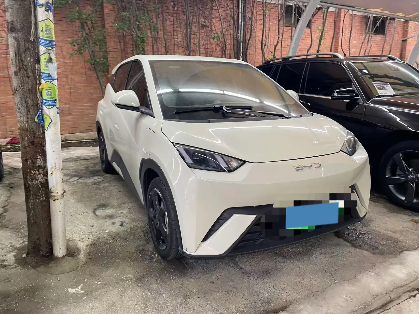 2024 BYD SEAGULL thumbnail 3