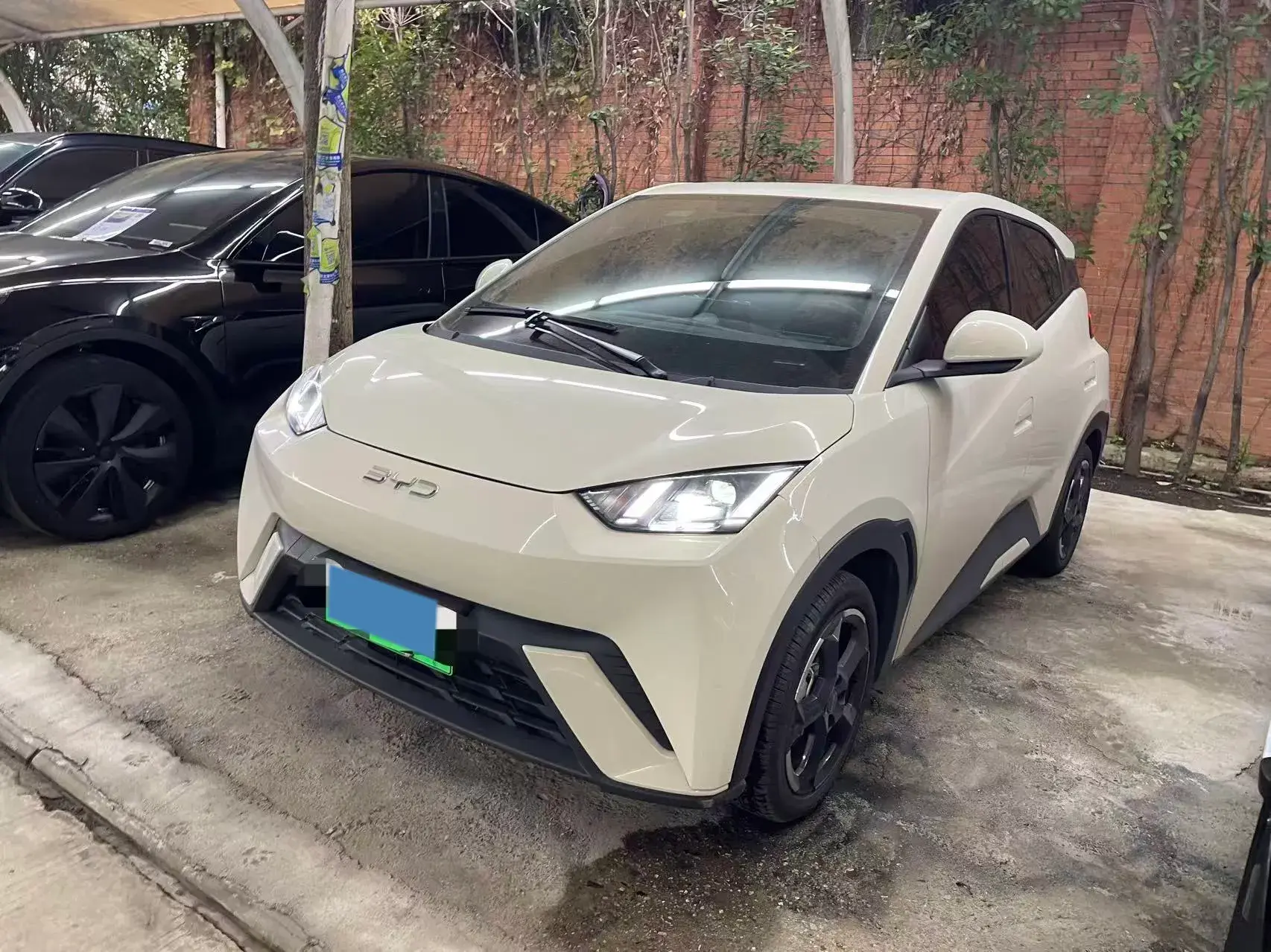 2024 BYD SEAGULL view 1