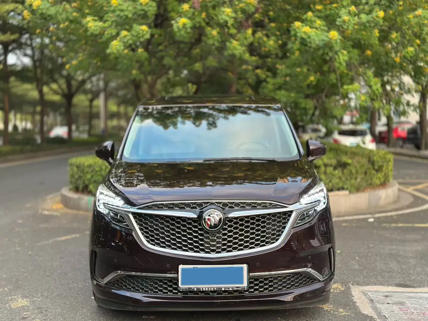 2020 BUICK GL8 thumbnail 2
